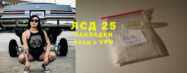 apvp Горняк