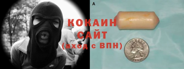 шишки Горно-Алтайск