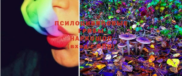 apvp Горняк