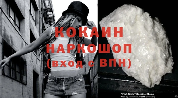 apvp Горняк