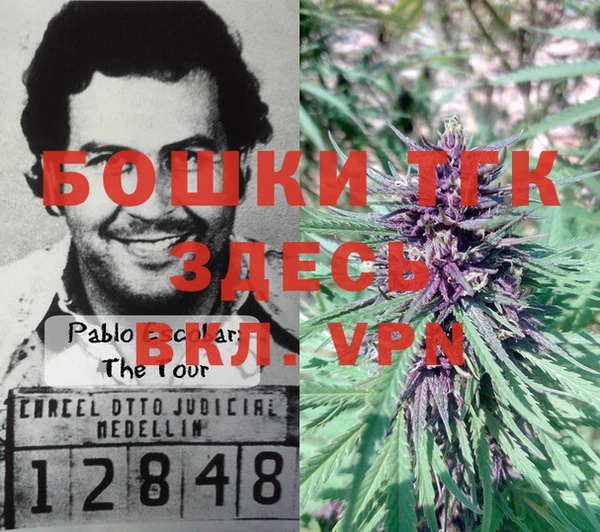шишки Горно-Алтайск