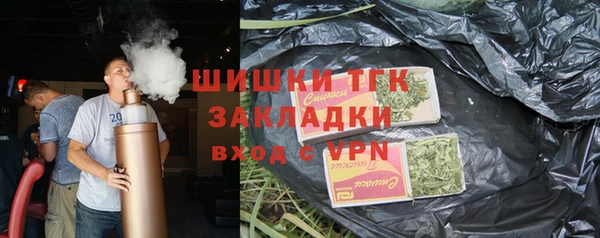 индика Волосово