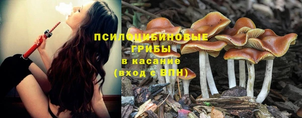 шишки Горно-Алтайск