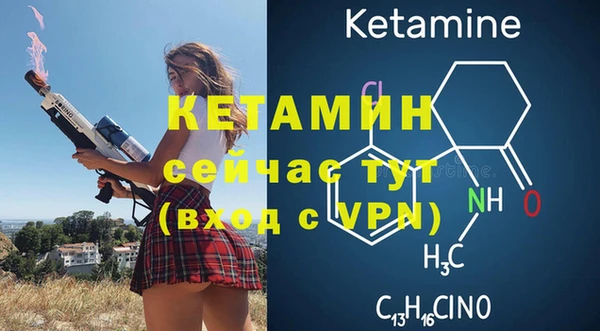 шишки Горно-Алтайск