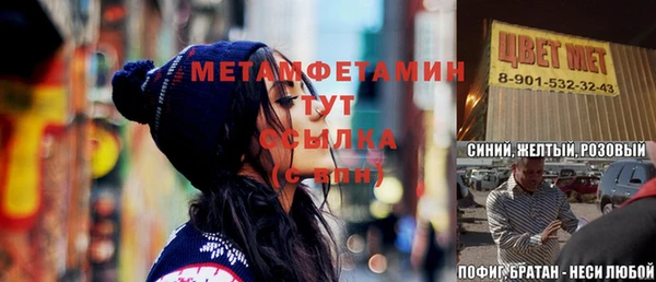 шишки Горно-Алтайск