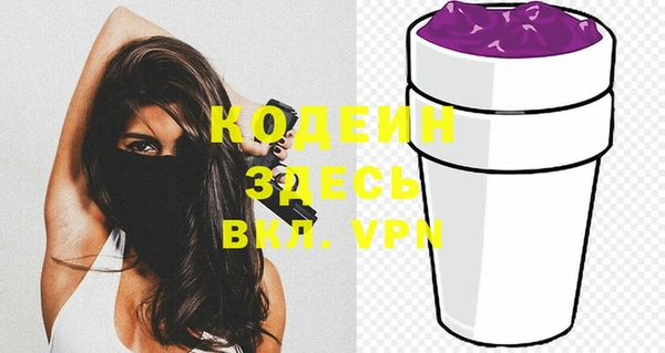 шишки Горно-Алтайск
