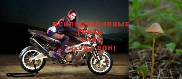 шишки Горно-Алтайск